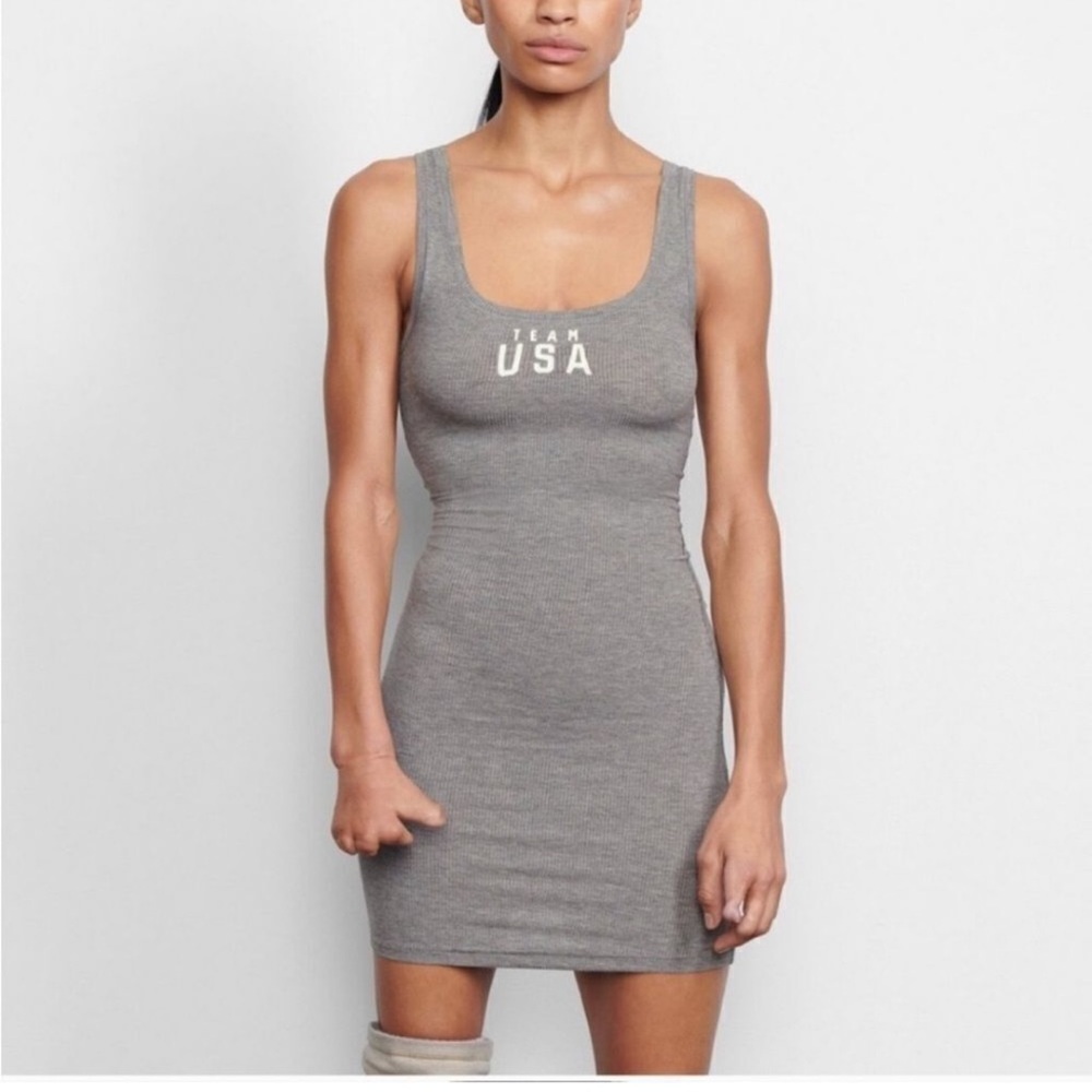 NWT SKIMS Gray Mini Dress